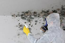 Professional Mold Removal Services in Coweta, OK